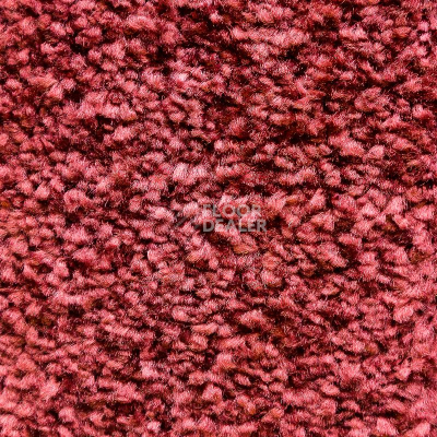 Ковролин AW Masquerade Morgana 19 фото 1 | FLOORDEALER